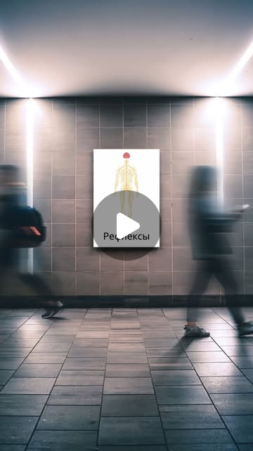 Биология на ЦТ: не только ботаника